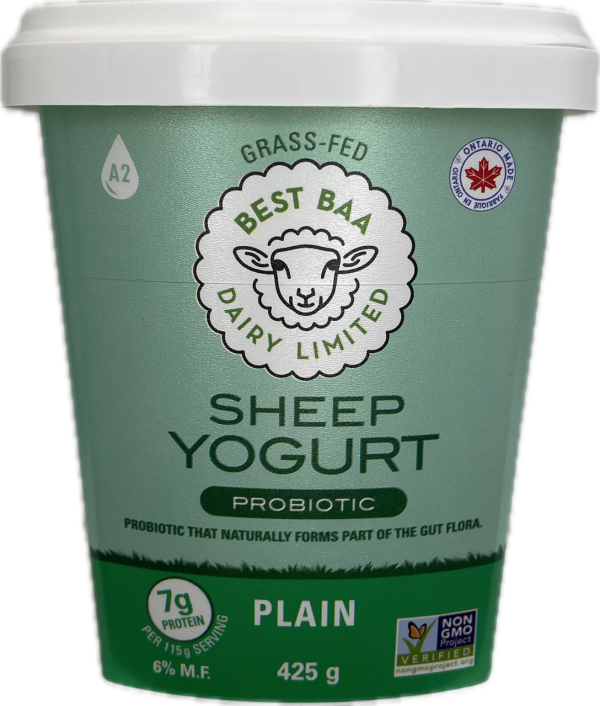 425g Plain Yogurt