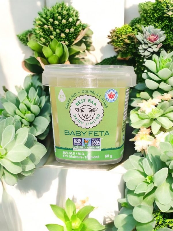 60g Baby Feta