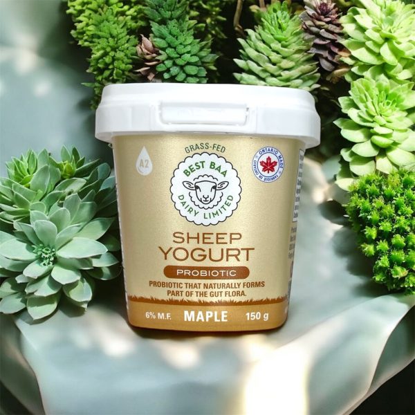 150g Maple Yogurt