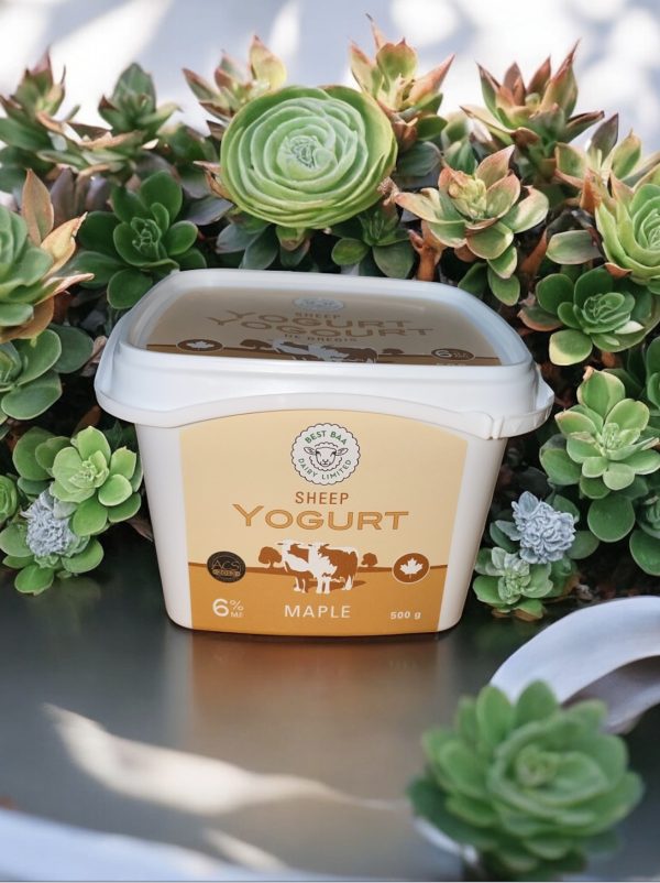 500g Maple Yogurt
