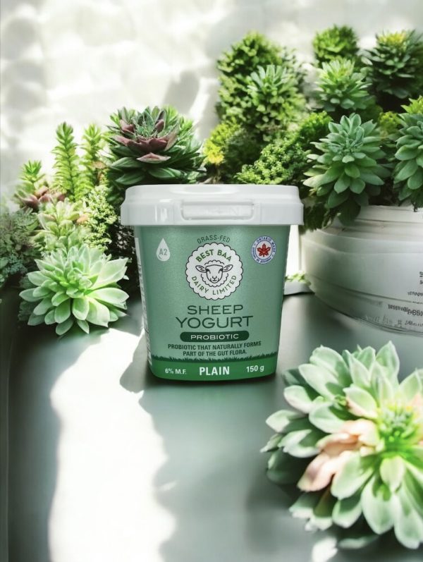 150g Plain Yogurt