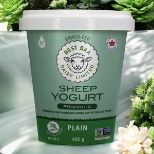 425g Plain Yogurt