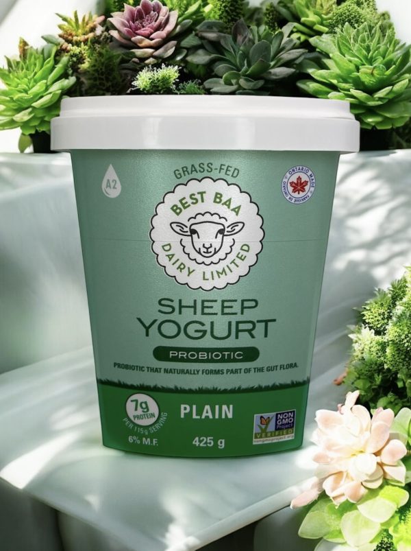 425g Plain Yogurt