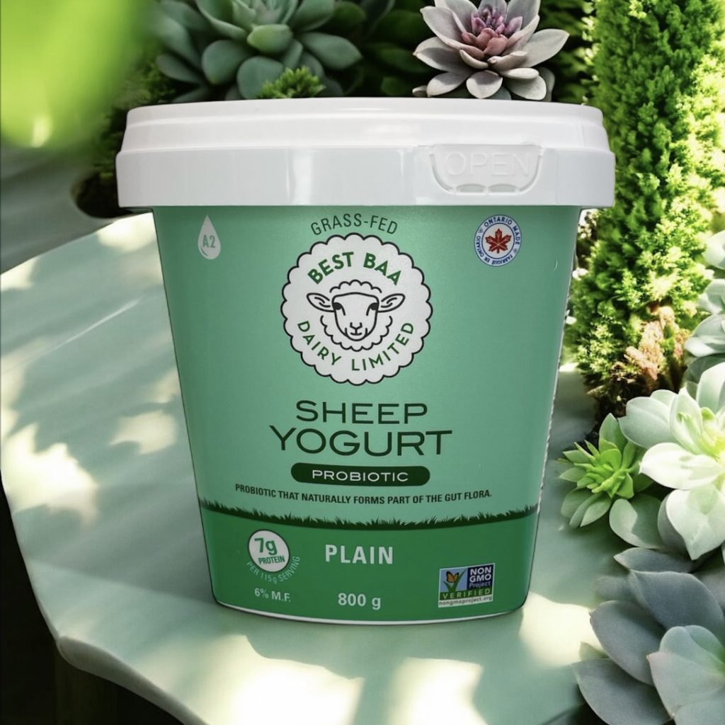 800g Plain Yogurt