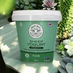 800g Plain Yogurt